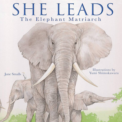 She Leads: The Elephant Matriarch