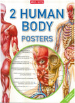 Poster Pack Human Body