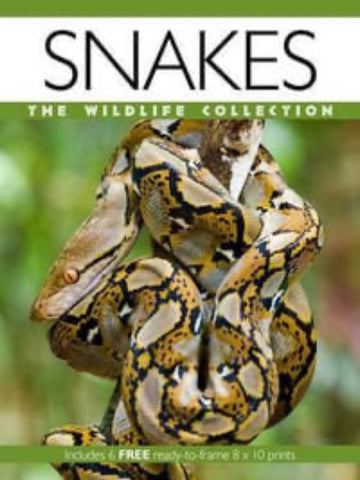 Snakes book /poster