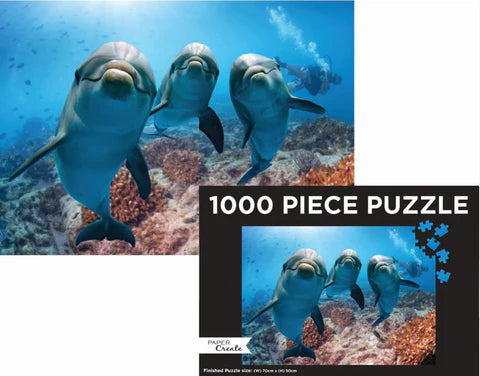 Dolphin puzzle