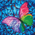 Butterfly Diamond Dots Poster with Frame